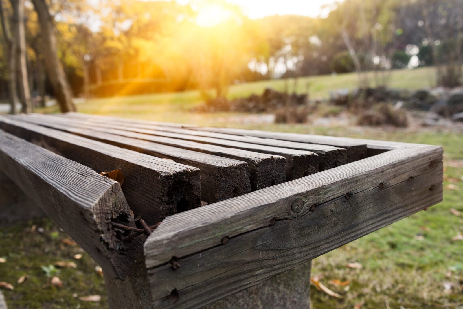 Banco de madera en un parque soleado, espacio simbólico para la infancia